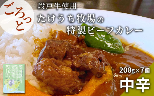 段戸牛カレー7個セット -024