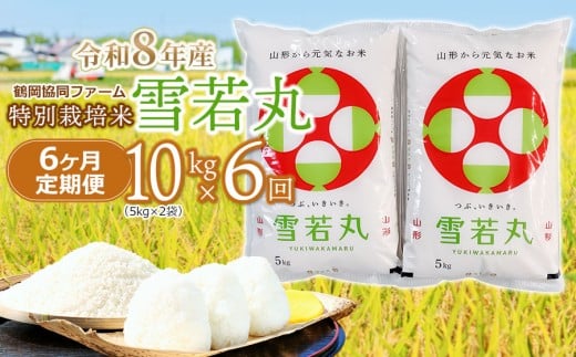 【令和8年産先行予約】 特別栽培米雪若丸精米 10kg (5kg×2袋) ×6ヶ月【定期便】 山形県鶴岡産　鶴岡協同ファーム