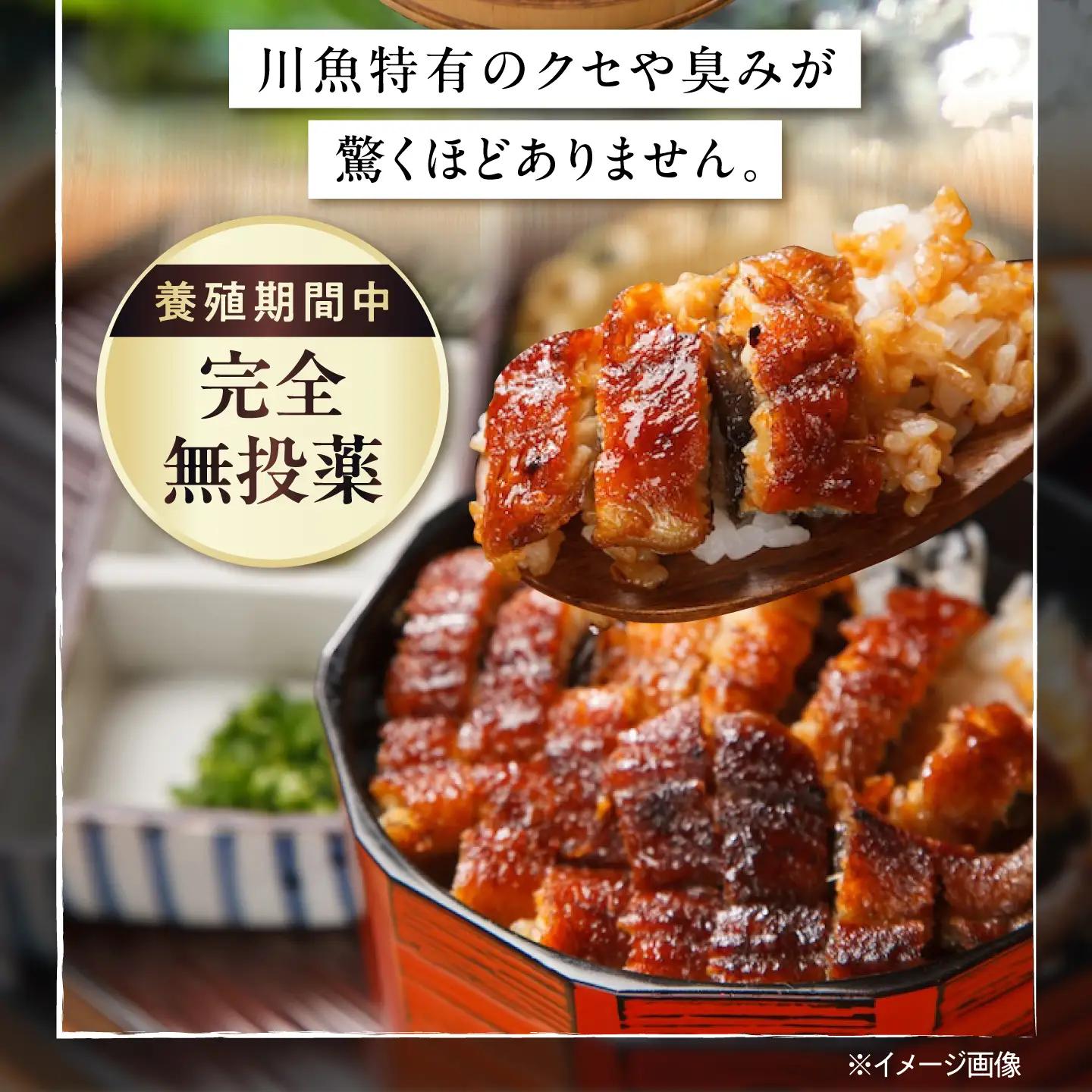 鰻 鰻の蒲焼 3尾 BLAM006