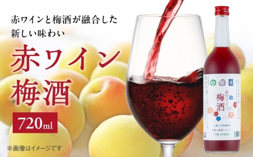 
                  赤ワイン梅酒2025　720㎖_EM6113
                