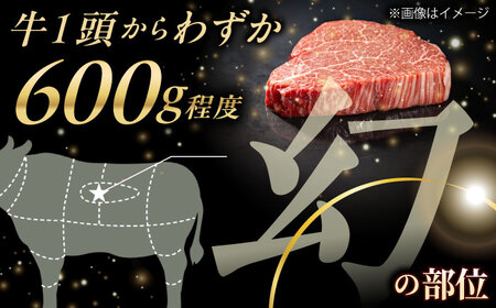 【極上の赤身肉】シャトーブリアン ステーキ 長崎和牛 計300g (150g×2枚)【肉のマルシン】[QBN058]