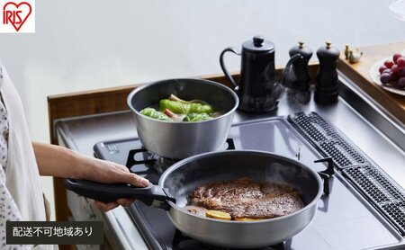 フライパンセット ダイヤモンドグレイス 10点セット DG-S10S シルバー アイリスオーヤマ ダイヤモンドコートパン なべ 料理 ダイヤモンドコーティング 耐摩耗性 調理器具 ih ガス オーブン対応 卵焼き機 エッグパン 取っ手外せる