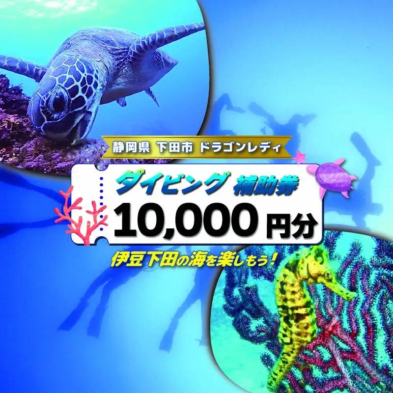 ダイビング 補助券 10,000円分 ダイビング 伊豆 下田