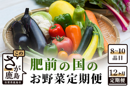 【12ヶ月 定期便】【野菜ソムリエ選定】 肥前の国のお野菜定期便 新鮮 採れたて 野菜 直売所 野菜 8～10品目 野菜定期便 J-14