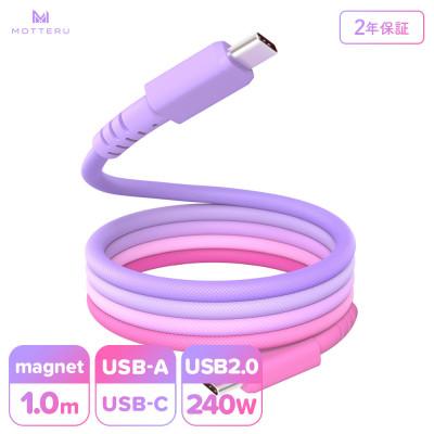 ふるさと納税 海老名市 マグネットケーブル グラデーション USB-C to USB-C (MOT-MGGCC100-CC)