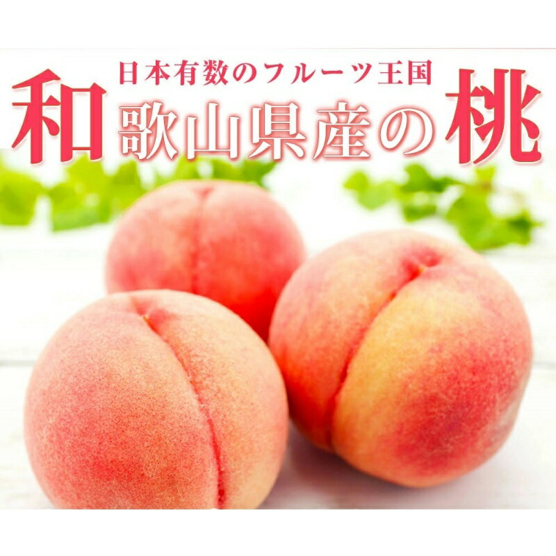 【ふるさと納税】 紀州和歌山産の桃 15玉 化粧箱入 ※2026年6月下旬頃〜2026年8月上旬頃順次発送（お届け日指定不可）