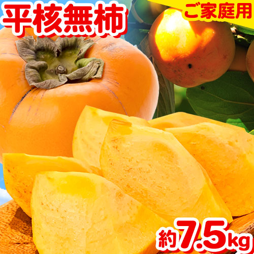 ご家庭用 和歌山秋の味覚 平核無柿 ( ひらたねなしがき ) 約 7.5kg 株式会社魚鶴商店《2026年10月上旬-11月上旬頃出荷》 和歌山県 日高町 柿 カキ かき たねなし ジューシー フルーツ