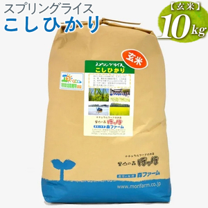 【新米】スプリングライス こしひかり (玄米)10kg ※着日指定不可 | 米 こめ コメ ご飯 玄米 単一米 国産 茨城県産 ※2026年9月～発送 _BI67