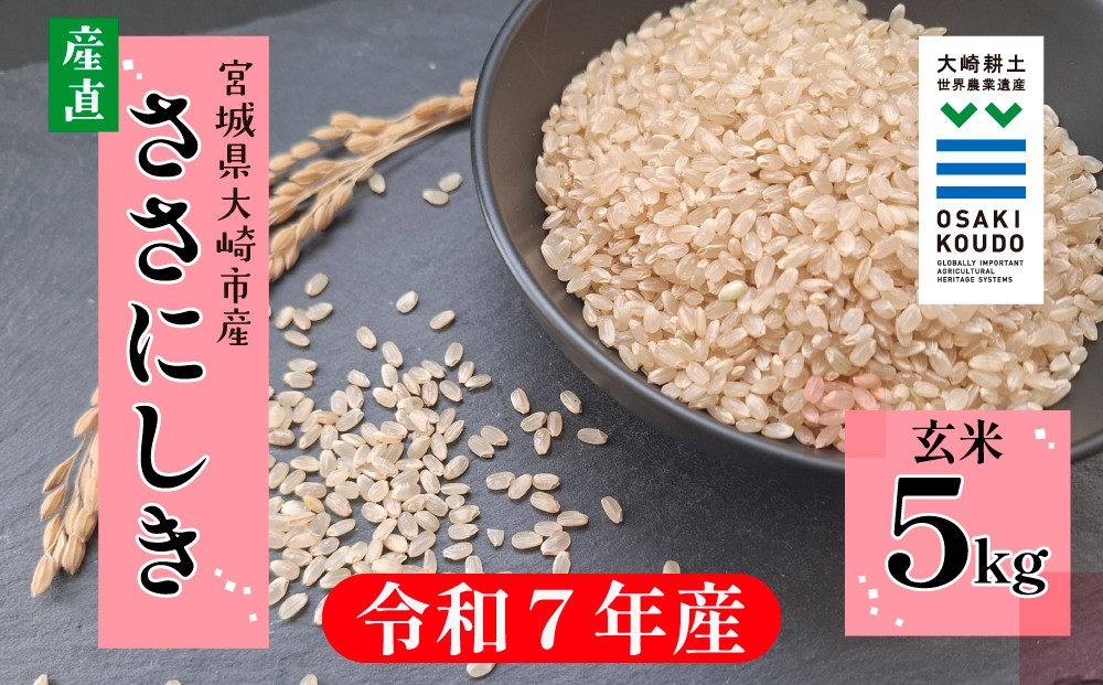
                  【令和7年産】宮城県大崎市古川産 ササニシキ〈玄米〉5kg｜自然の恵みをまるごと味わう幻の米
                