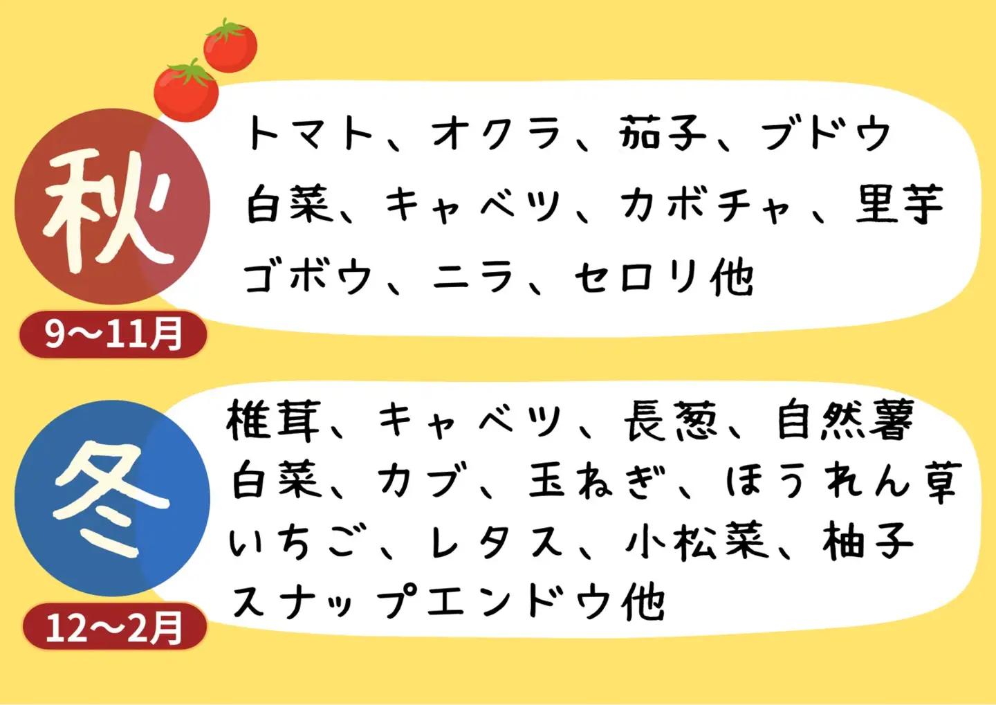 【阿蘇 郷乃舎】阿蘇高原 農家直送こだわり野菜と阿蘇特産品セット お野菜8~10品 ＋ASOMILK のむヨーグルト 野菜ソムリエ上級プロ厳選 ASOMILK のむヨーグルト 牛乳 阿蘇ミルク 阿部牧