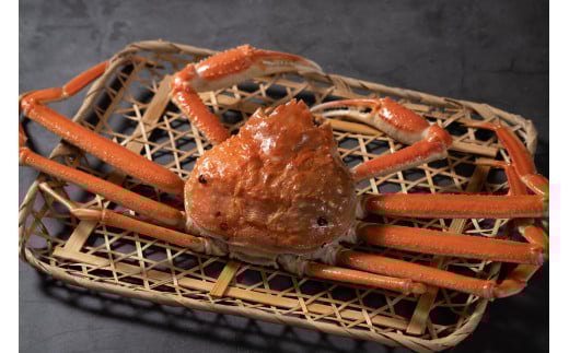 【魚倉】足１本なしボイル松葉ガニ（並５００ｇ） 訳あり 松葉ガニ カニ ズワイガニ カニ爪 ボイル 冷蔵 ずわいがに 国産 わけあり 足欠け 足かけ 鮮度抜群 鳥取県 倉吉市