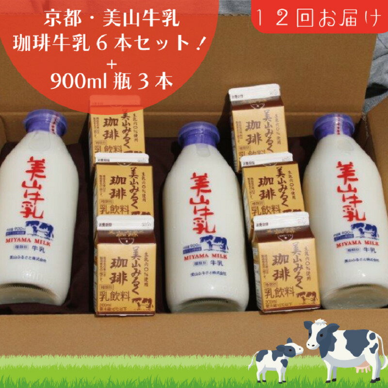 【ふるさと納税】牛乳 定期便 12ヶ月 京都 美山牛乳 瓶 900ml ×3本 珈琲牛乳 200ml ×6本 詰め合わせ セット 美山町 お取り寄せ コーヒー牛乳 パック 定期 お楽しみ 12回 ※北海道・沖縄・離島への発送不可　 南丹市
