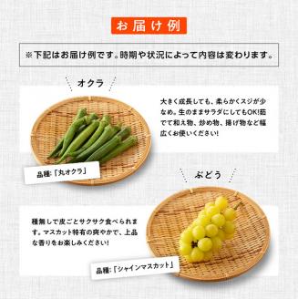 【定期便】産直おすず村 季節の野菜と果物 厳選 詰め合わせセット（小） 全4回【旬野菜 フルーツ 直売所 産地直送 宮崎県産】[G3802]