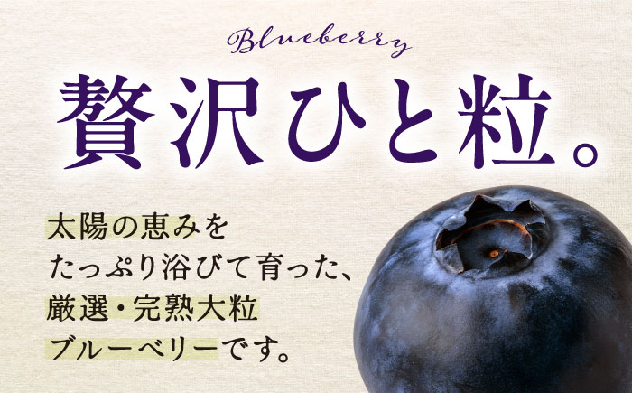手摘み ブルーベリー 詰め合わせ 450g×4パック ＜2026年7月下旬より発送＞ ／ ブルーベリー 果物 フルーツ ベリー 国産 産地直送 農家直送 四国 愛媛県 内子町 【周年観光農園エコファー