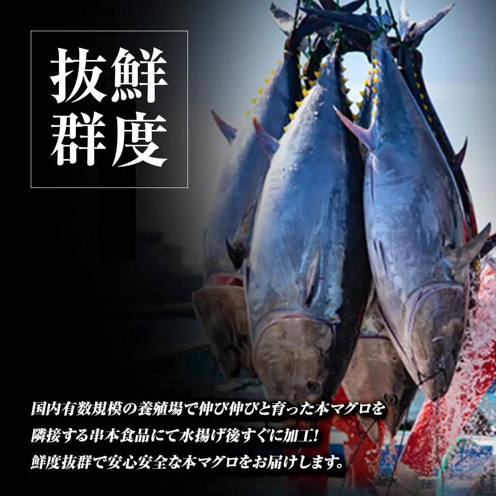 本マグロ（養殖）トロ＆赤身セット　1.35kg［KS13］