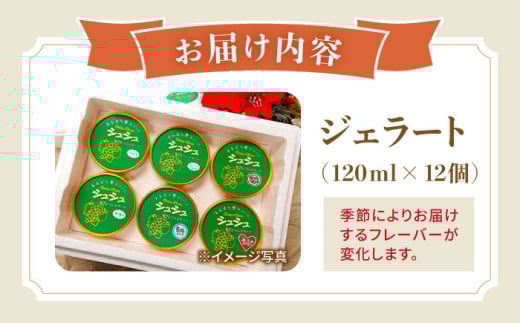 シュシュのシュシュのスペシャルジェラート12個セット（定番/季節限定/スペシャル2種） / アイス あいす アイスクリーム あいすくりーむ ジェラート じぇらーと スイーツ すいーつ / 大村市 / 