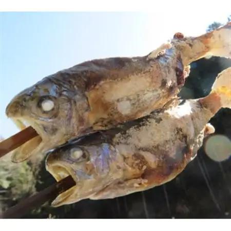 秋川国際マス釣場【D:ルアー釣り券】【1392956】