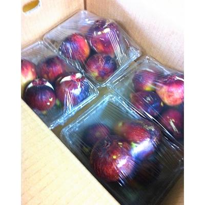 ふるさと納税 和歌山市 和歌山産 いちじく 秀品1.6kg(400g ×4パック) |  | 02