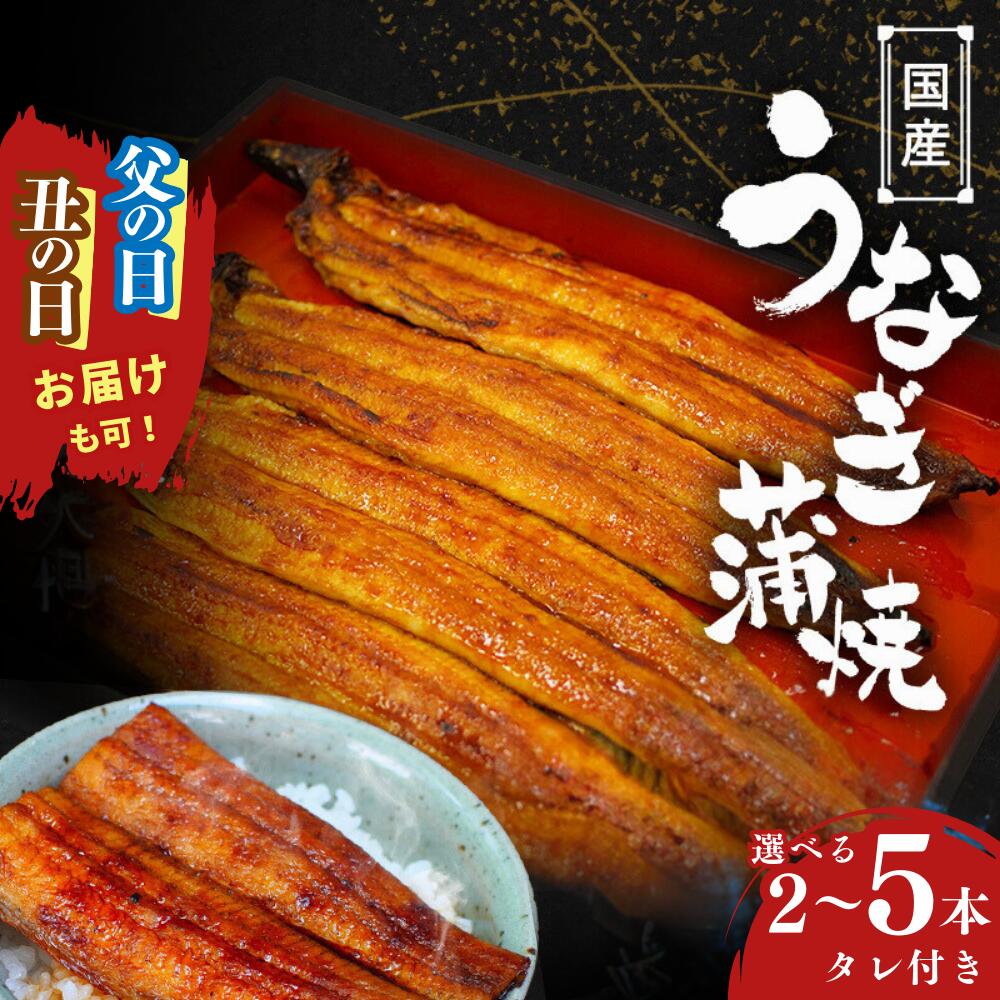 【ふるさと納税】 うなぎ 国産うなぎ蒲焼 タレ付 / 和歌山 田辺市 国産 国産うなぎ 国産鰻 鰻 蒲焼 かば焼き 土用の丑の日 冷凍 ギフト 贈答 お歳暮 お歳暮プレゼント贈り物