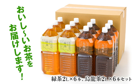 【定期便3カ月】 お茶 ペットボトル 飲み比べセット（緑茶2L×6本・烏龍2L×6本） お茶