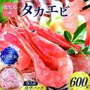 【ふるさと納税】 鹿児島産 タカエビ 600g 6人前 真空 パック 高海老 たかえび 海老 エビ 刺身 味噌汁 塩焼き 天ぷら フライ 魚介類 魚介 美味しい 酒の肴 冷凍 新鮮 有頭 ノンドリップ 急速冷凍 薩摩 甘えび 津曲商店 鹿児島 おすすめ ランキング プレゼント ギフト