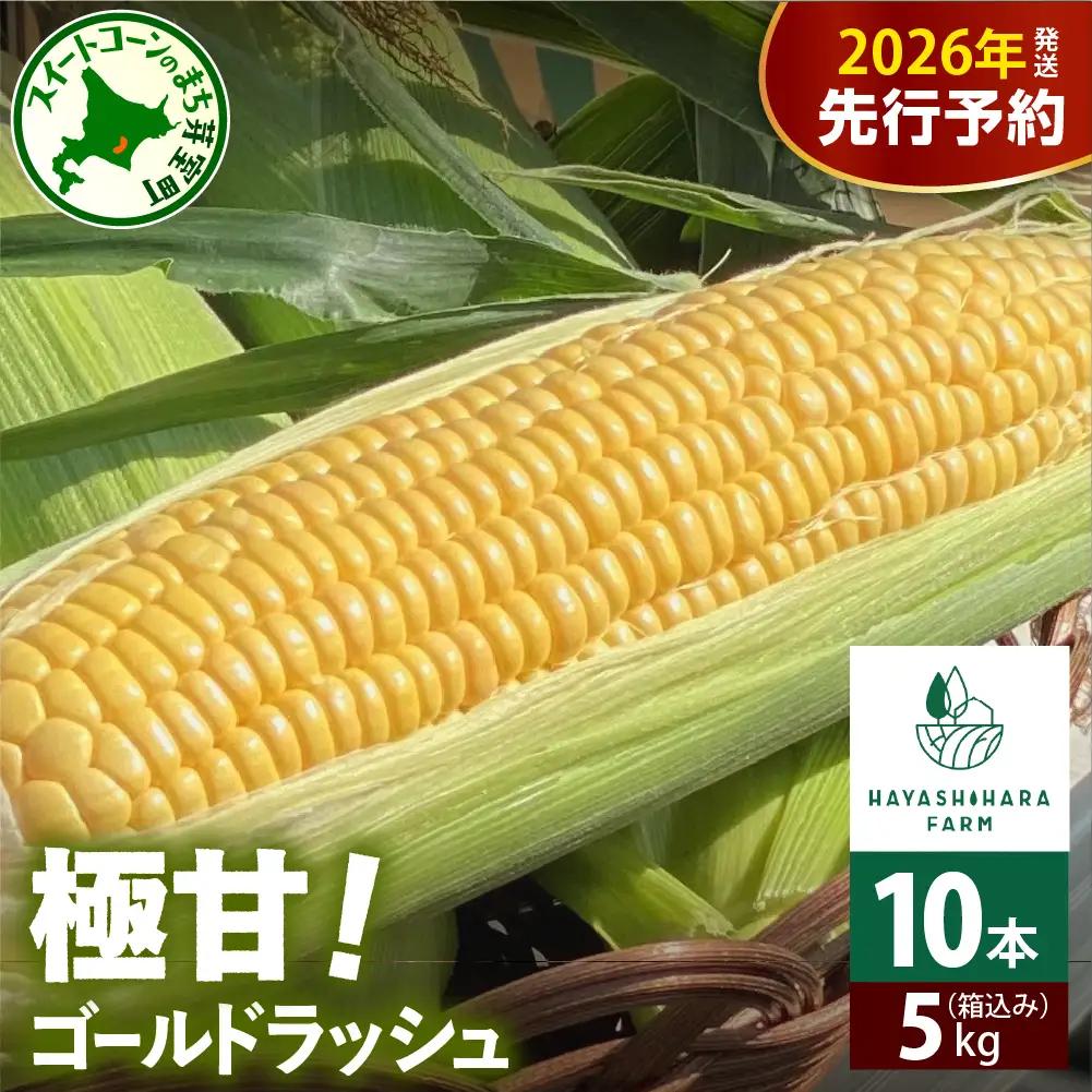 とうもろこし  ゴールドラッシュ 10本 (5kg)  トウモロコシ