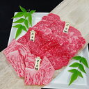 【ふるさと納税】伊賀忍者ビーフ【伊賀牛】焼肉用3種600g（ロース200g,モモ200g,バラ200g）