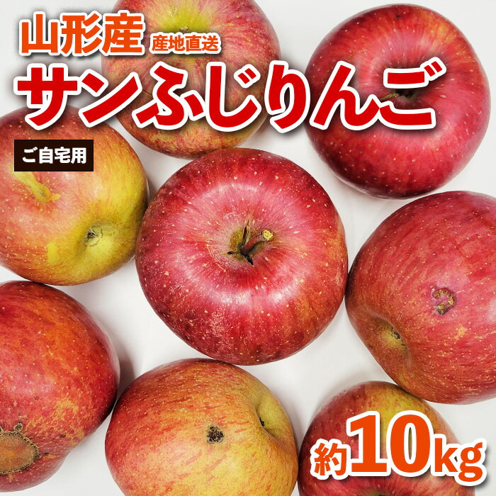【ふるさと納税】【ご自宅用】山形産サンふじりんご　約10kg(26〜56玉) FZ26-746
