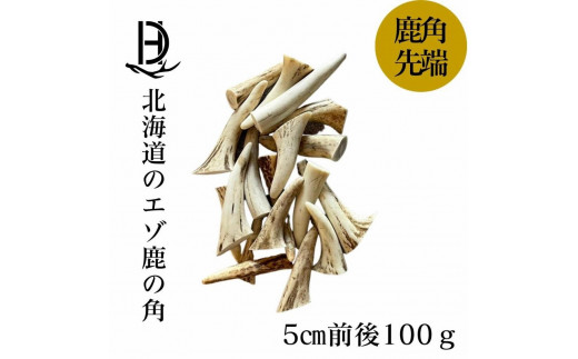 
鹿の角 枝先5cm前後100ｇセット アクセサリー用 北海道産 ハンドメイド クラフト材
