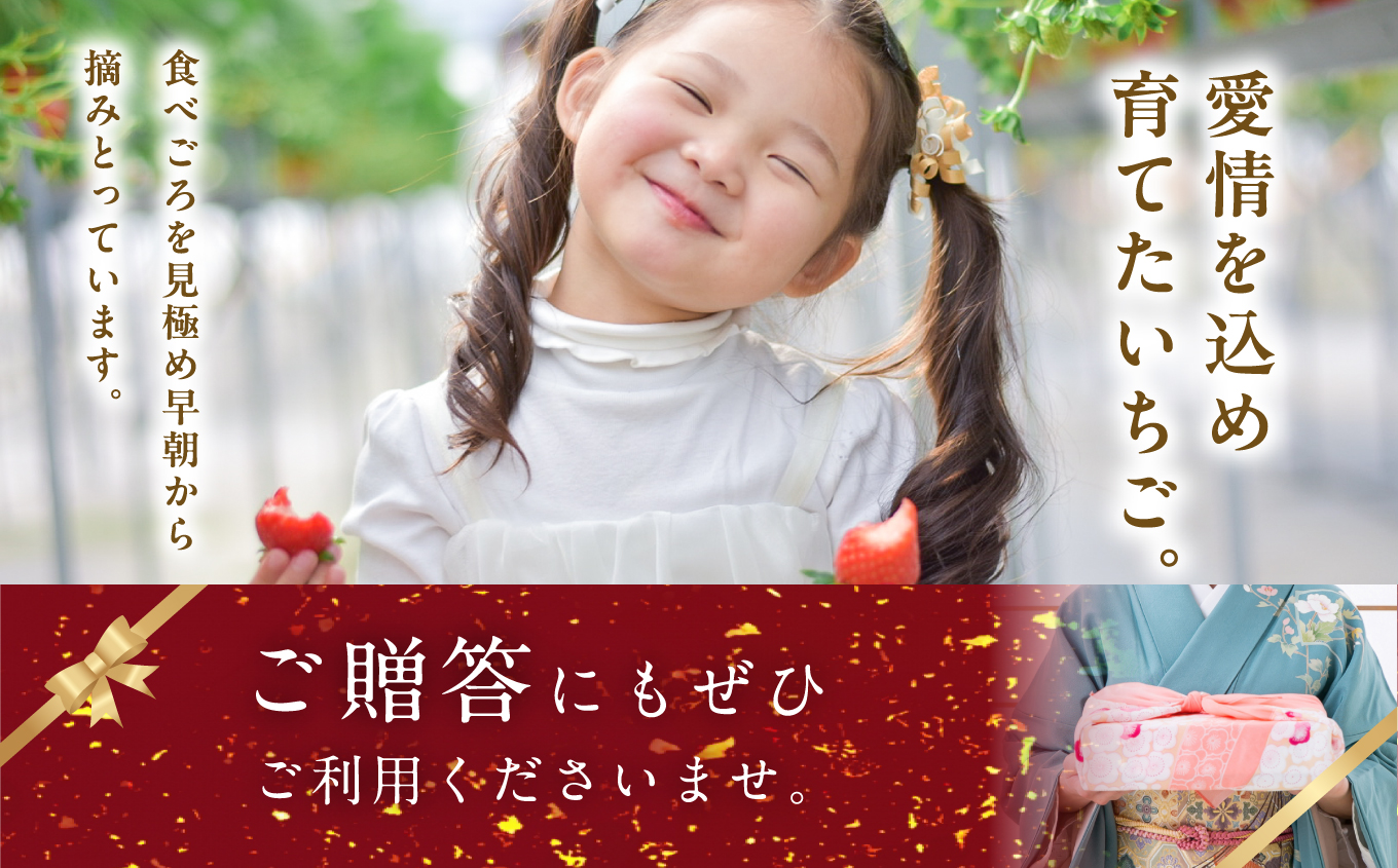 まるなかファーム×人気酒造 Koichigoリキュール 300ml×1本 いちご 酒 リキュール liqueur ストロベリー 日本酒 セット 苺 イチゴ フルーツ 果物 おすすめ お中元 お歳暮 ギ