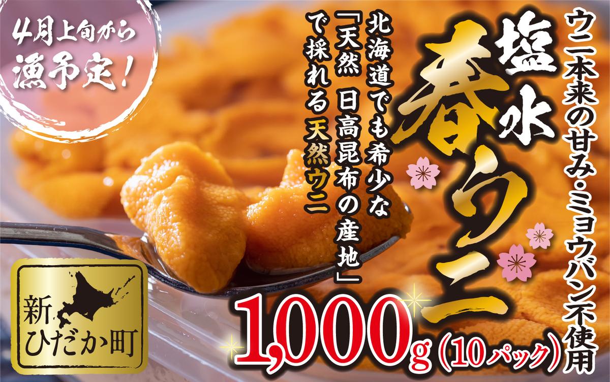 ＜ 2026年4月上旬より発送 ＞ うに 北海道 1,000g （ 100g × 10パック ） 使用するのは塩水のみ 日高沖産 塩水 生雲丹 春ウニ エゾバフンウニ ＜ 予約受付 ＞