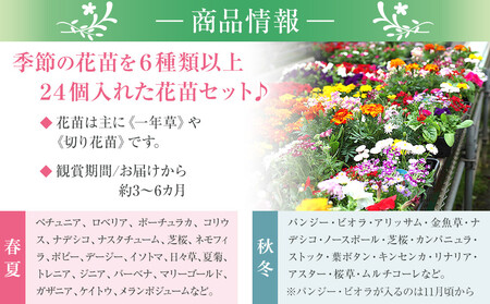 季節の花苗24苗セット