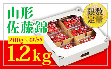 ★山形さくらんぼ佐藤錦☆Lサイズ以上200g×6 FS24-672 くだもの 果物 フルーツ 山形 山形県 山形市 2025年産