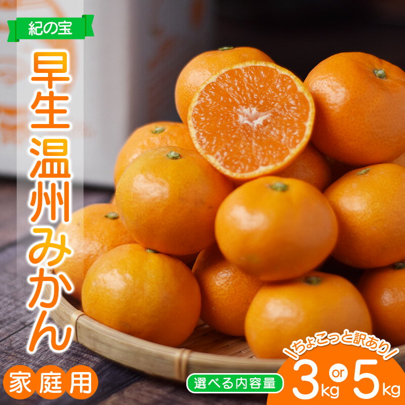 【ふるさと納税】 ＼選べる容量／ 早生温州 みかん ちょこっと 訳あり ご家庭用 たにぐち農園の 早生温州みかん (マルチ栽培) 3kg or 5kg 【2025年11月中旬〜12月中旬に順次発送】 わけあり 訳あり 家庭用 不揃い 早生 温州 みかん ミカン 蜜柑 フルーツ 果物 くだもの