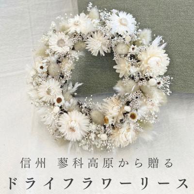 ふるさと納税 茅野市 信州八ヶ岳の麓から贈るドライフラワーリースS(ホワイト)