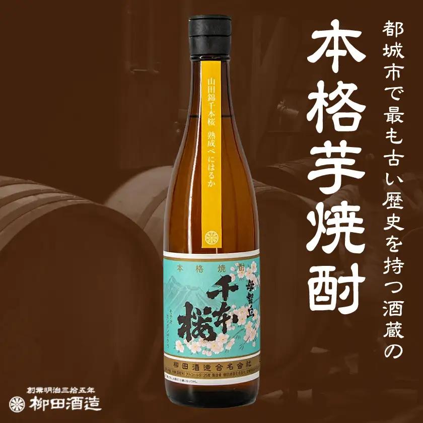 【柳田酒造】山田錦千本桜 熟成べにはるか(25度)720ml×2本 ≪みやこんじょ特急便≫_AA-0750_(都城市) べにはるか 焼酎 25度 熟成 お湯割/ロック/ソーダ割 伝統製法/こだわり/老