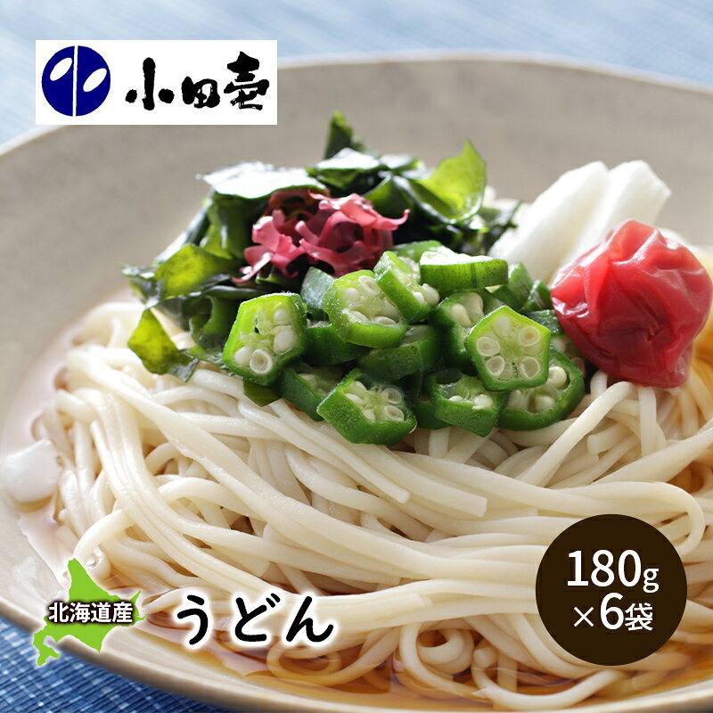 【ふるさと納税】北海道産小麦 うどん180g×6 麺類 乾麺