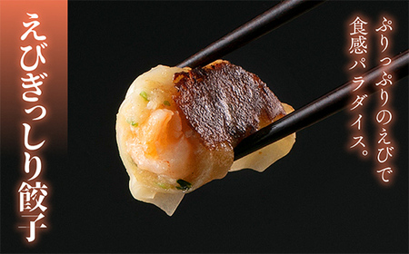 えびぎっしり餃子 60個 焼餃子 水餃子 中華 ぎょうざ ギョーザ お弁当 おかず F4H-0217