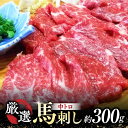 【ふるさと納税】熊本 馬刺し 「なか園」 厳選の馬刺し 約300g[ZBV009]