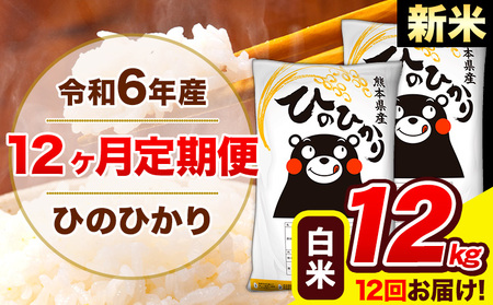 令和6年産 新米 ひのひかり 【12ヶ月定期便】 白米  12kg (6kg×2袋) 計12回お届け 《お申し込み月の翌月から出荷開始》 熊本県産 白米 精米 ひの 米 こめ お米 熊本県 長洲町