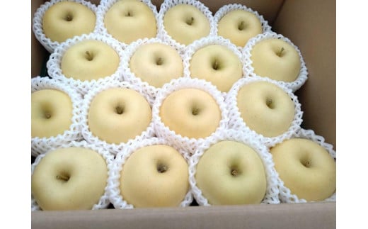 【2025年発送】りんご【はるか】秀5ｋｇ　14～20玉