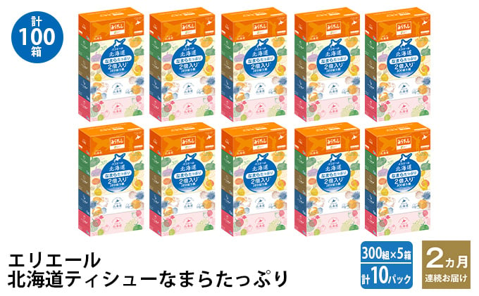 
            2ヵ月連続お届け 計100箱 エリエール 北海道 ティシュー なまらたっぷり 300組5箱 10パック 大容量 まとめ買い 防災 常備品 備蓄品 消耗品 日用品 生活必需品 送料無料 赤平市
          