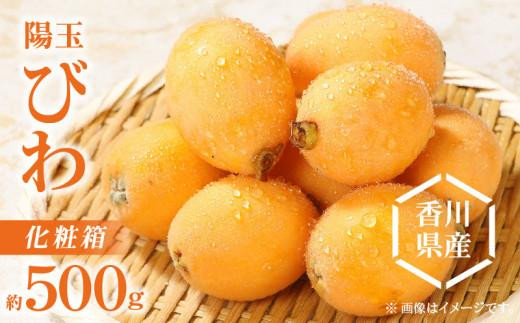 
            陽玉びわ化粧箱 約500g【2025-5月上旬～2025-6月中旬配送】
          