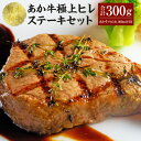 【ふるさと納税】 あか牛 極上ヒレステーキセット（あか牛ヒレステーキ150g×2枚、あか牛のたれ200ml付き）合計300g たれ たれ付き 肉 お肉 牛 牛肉 ヒレ ステーキ あかうし 赤牛 和牛 熊本県産 国産 冷凍 送料無料