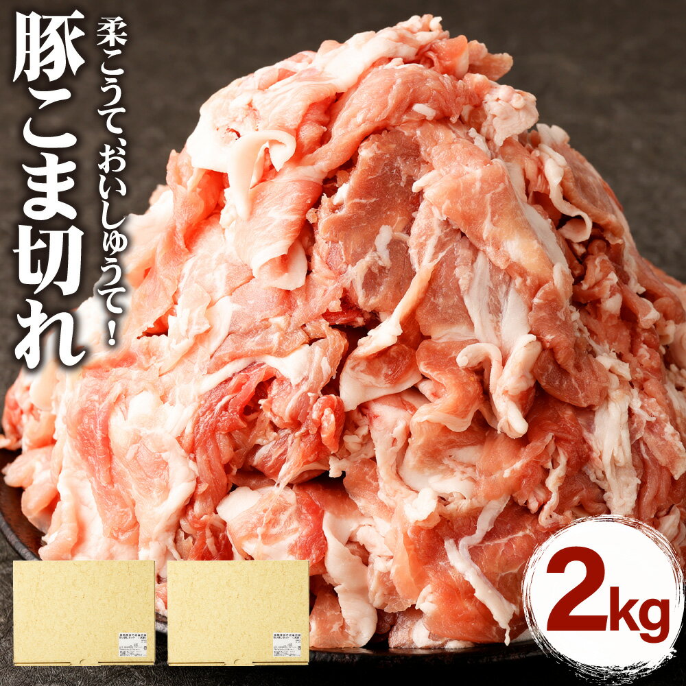 【ふるさと納税】豚肉 こま切れ 2kg ( 250g × 8パック ) | 肉 お肉 ぶた 小間切れ こまぎれ 小分け 真空 パック 生姜焼き 豚汁 豚丼 料理 調理 お取り寄せ グルメ ギフト 贈答 プレゼント 人気 おススメ 京都府 京都市