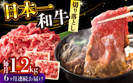 【全6回定期便】【A4～A5】長崎和牛切り落とし　1.2kg(600g×2p）【株式会社 MEAT PLUS】[DBS059]