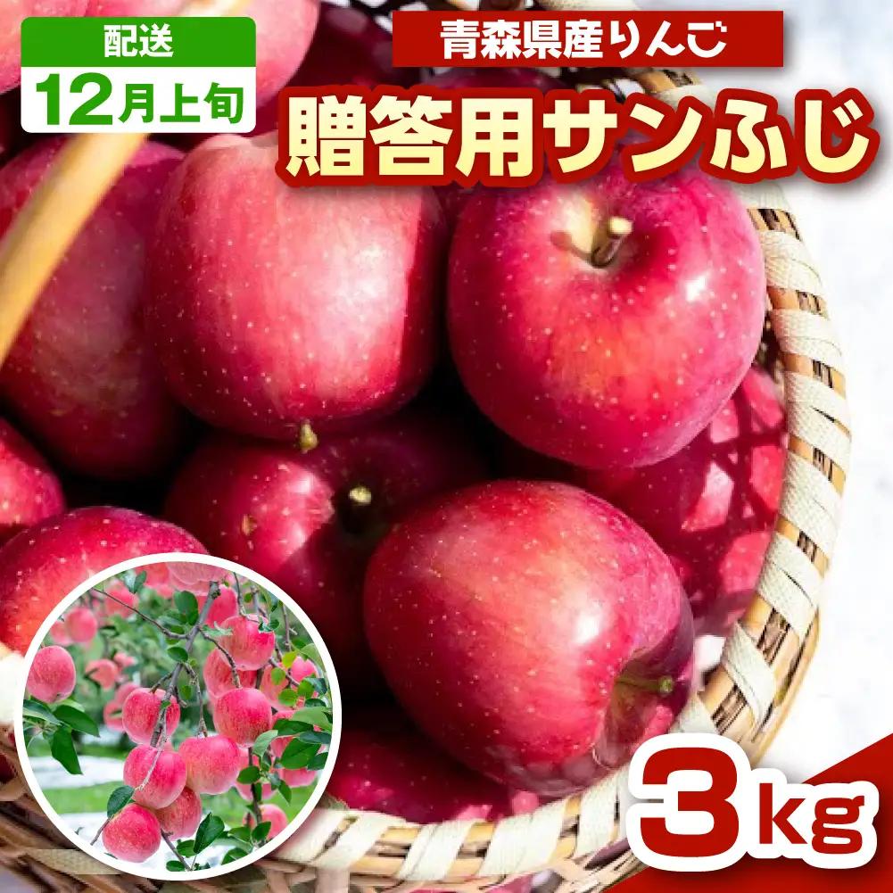 【2026年12月上旬発送】 青森りんご サンふじ約3kg《贈答用》りんご