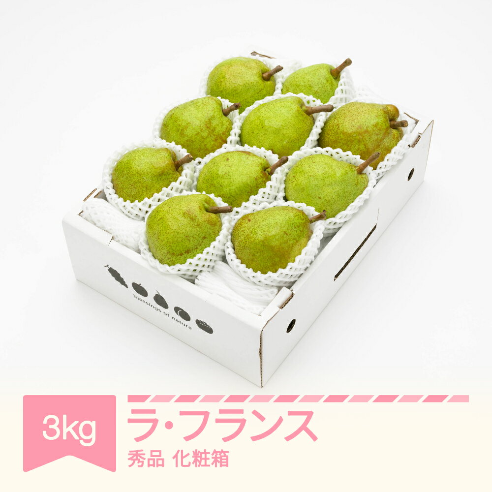 【ふるさと納税】ラ・フランス 化粧箱 3kg 令和8年産 2026年産 山形県産 果物 ラフランス 送料無料 ns-laxxx3