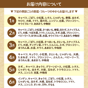 【毎月お届け】むなかた旬のお任せセット（野菜・フルーツ・卵） 9～11品【JAほたるの里】_HB0194