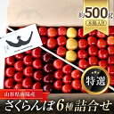 【ふるさと納税】 【令和6年産先行予約】 さくらんぼ 6種詰合せ 約500g (特選 木箱入り) 《令和6年6月下旬～発送》 『最上園』 サクランボ 食べ比べ セット 果物 フルーツ 産地直送 山形県 南陽市 681